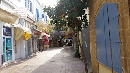 First Step of the Journey: Being a Newcomer in Nicosia